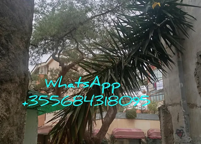 Yucca Private 17 Lejlighed Tirana